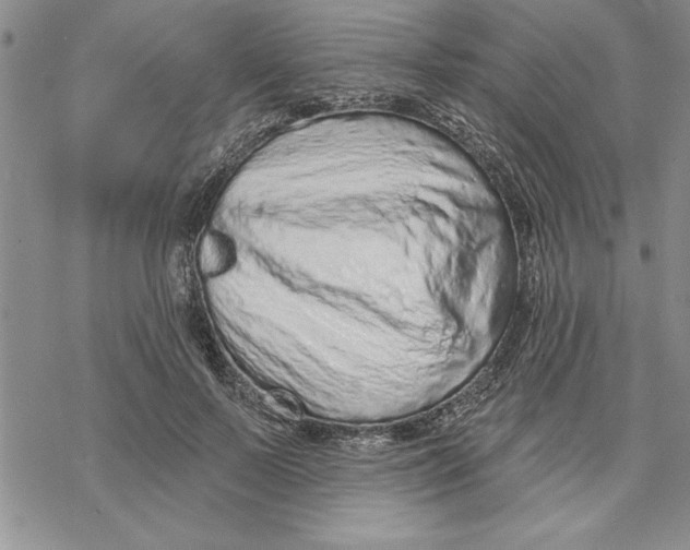 X0000069400695200606021657