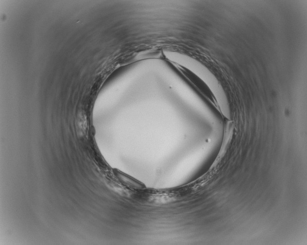 X0000069400704200606021657