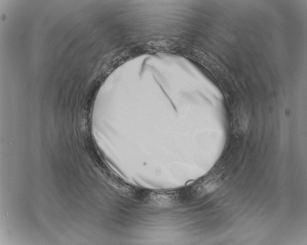 X0000069400706200606021657