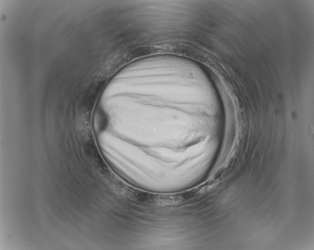 X0000069400707200606021657