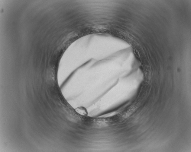 X0000069400710200606021657