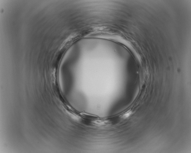 X0000069400712200606021656