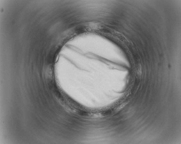 X0000069400715200606021656