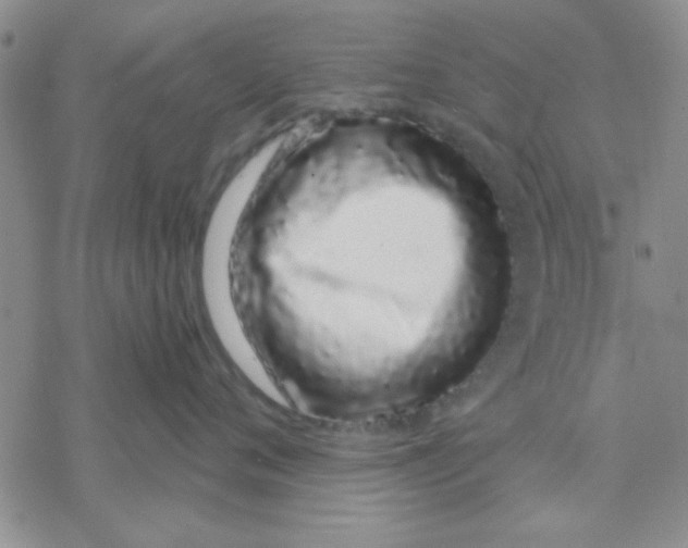 X0000069400720200606021656