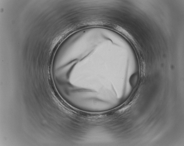 X0000069400725200606021656