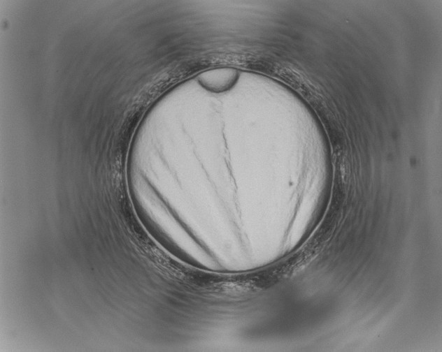 X0000069400737200606021656