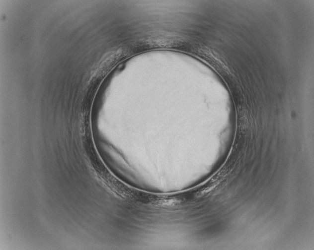 X0000069400738200606021656