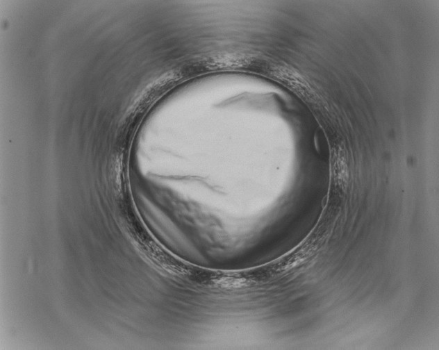 X0000069400742200606021656