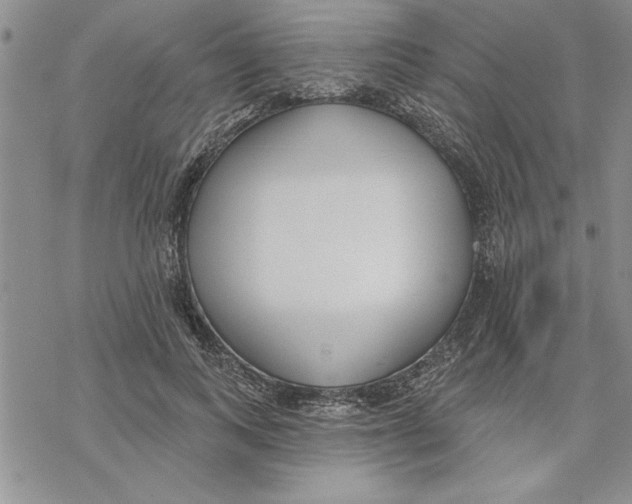 X0000069400743200606021656