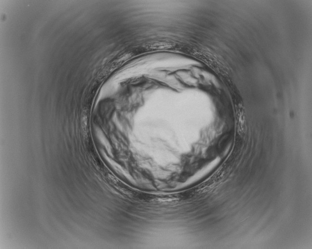 X0000069400745200606021656