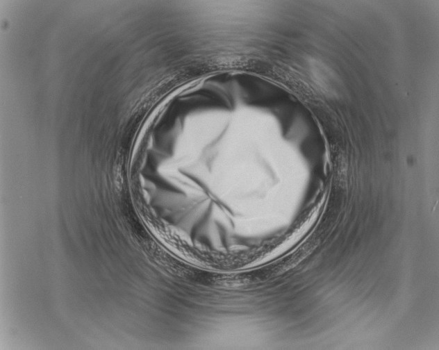 X0000069400746200606021656