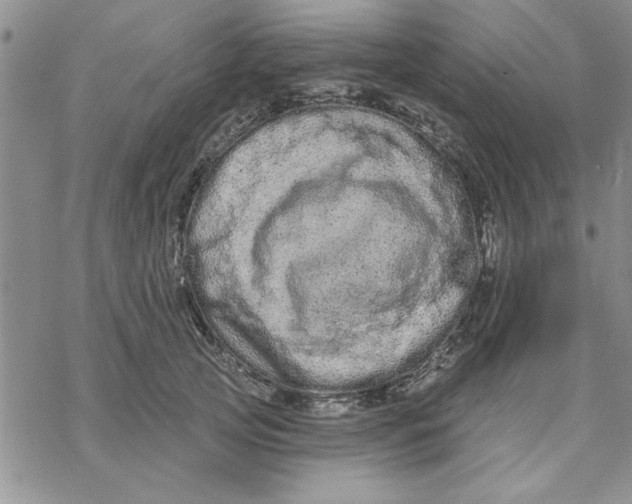 X0000069400753200606021656
