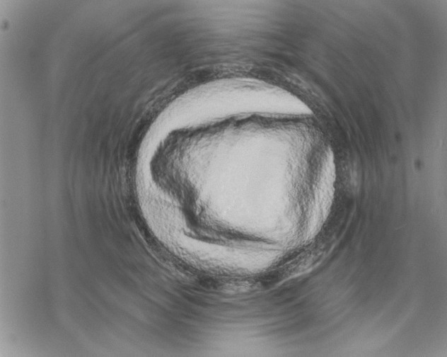 X0000069400757200606021656