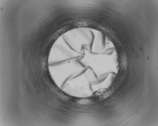 X0000069400759200606021656