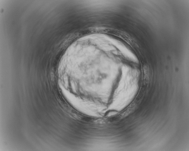X0000069400761200606021656