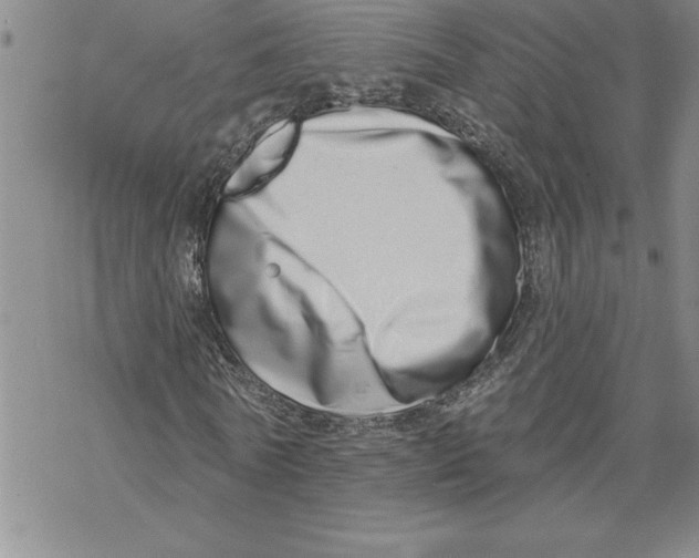 X0000069400770200606021656