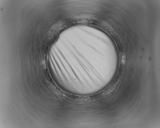 X0000069400771200606021656