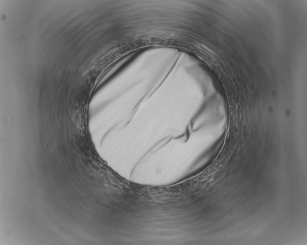 X0000069400774200606021655