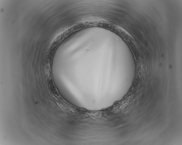X0000069400775200606021655