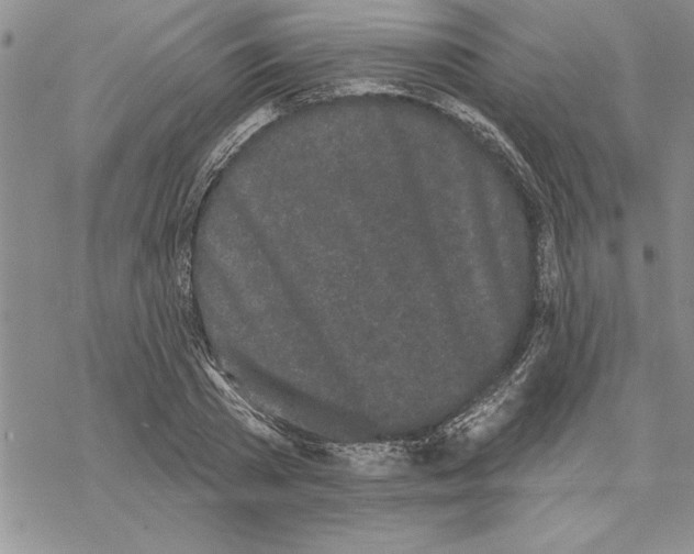 X0000069400785200606021655