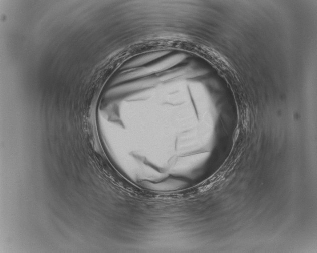 X0000069400821200606021654