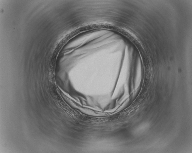 X0000069400823200606021654