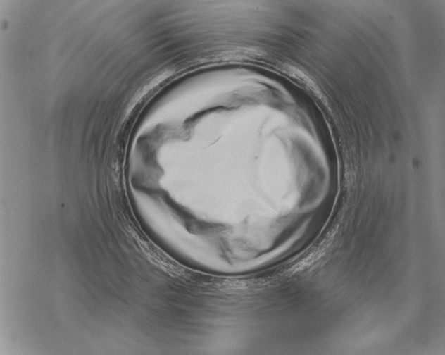 X0000069400827200606021654