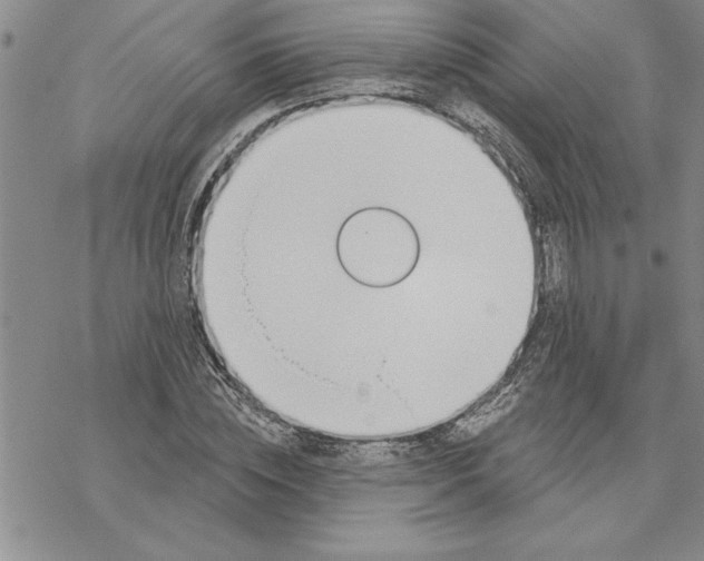 X0000069400828200606021654