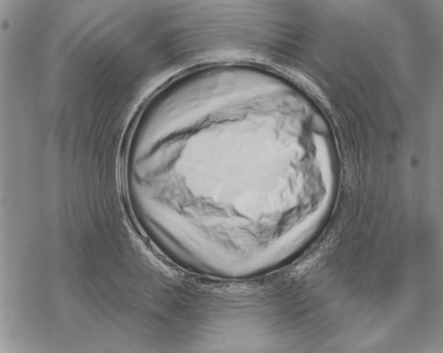 X0000069400839200606021654