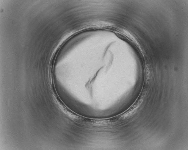 X0000069400843200606021654