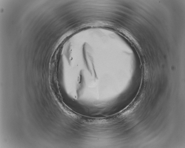 X0000069400845200606021654