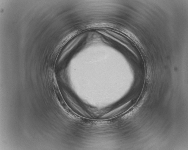 X0000069400849200606021655