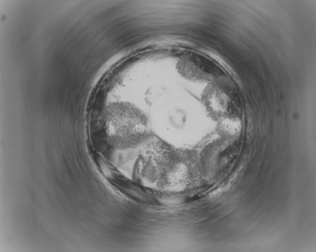 X0000069400853200606021655