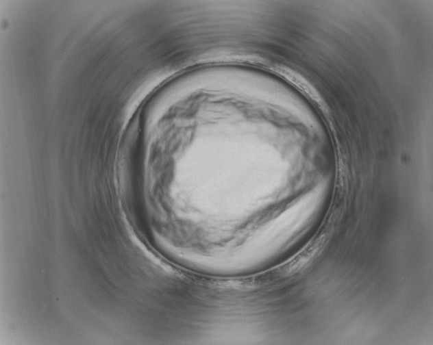 X0000069400855200606021655