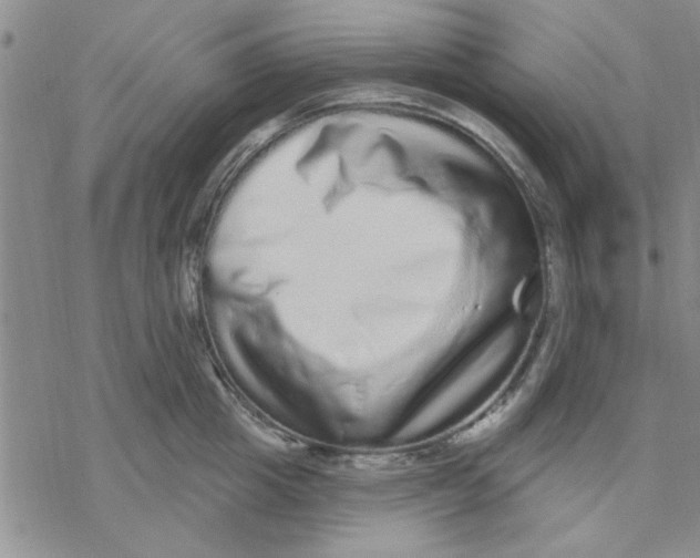 X0000069400857200606021655