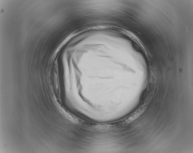 X0000069400859200606021655