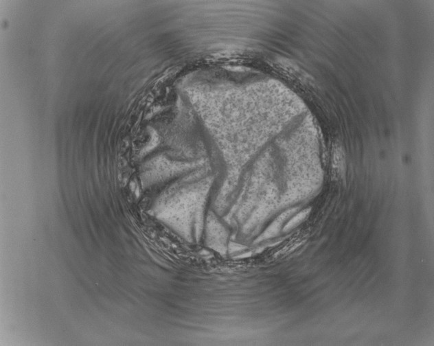X0000069400868200606021654