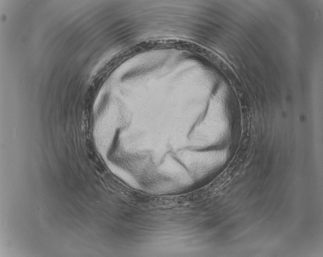 X0000069400871200606021654