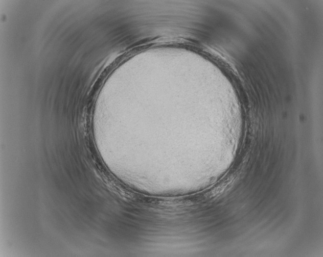 X0000069400875200606021654