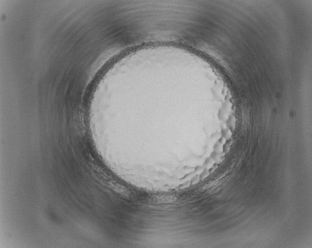 X0000069400878200606021654