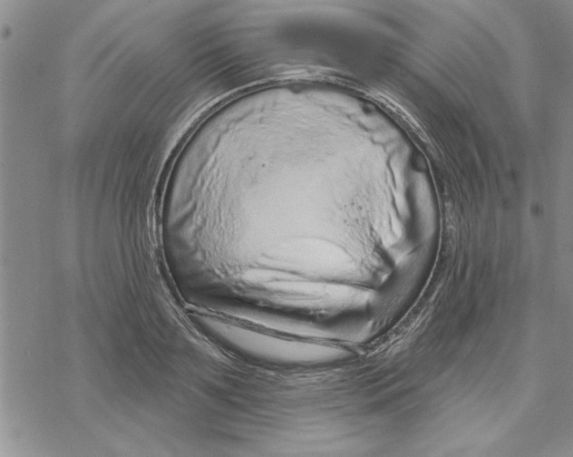 X0000069400891200606021654