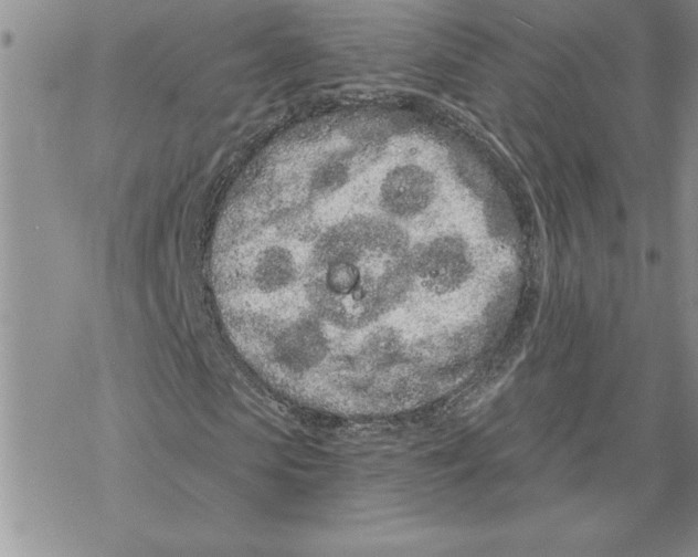 X0000069400913200606021652