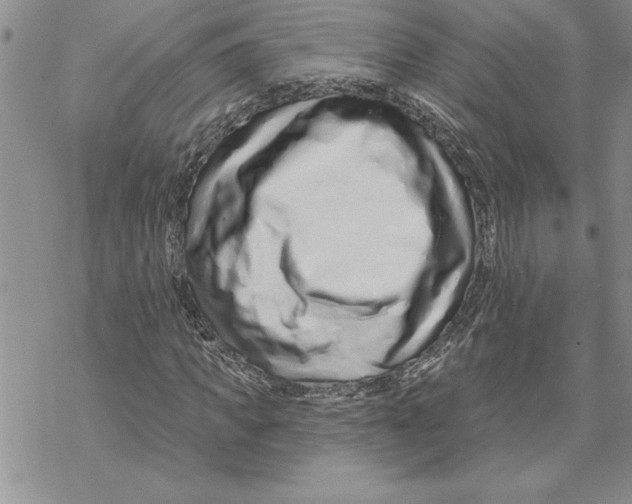X0000069400917200606021653