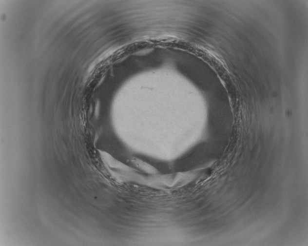 X0000069400920200606021653