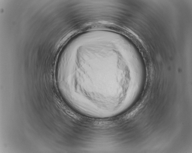 X0000069400921200606021653