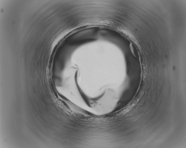 X0000069400928200606021653