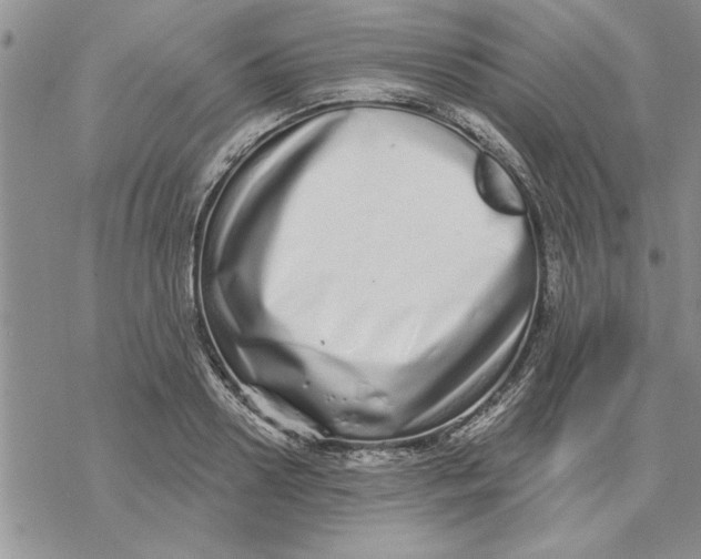 X0000069400938200606021653