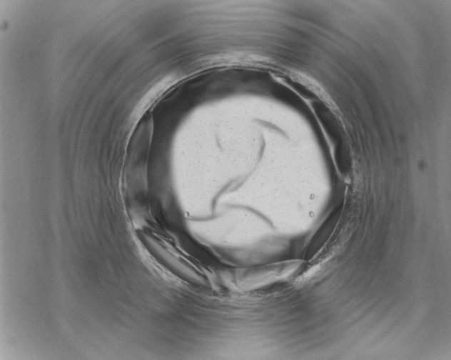 X0000069400946200606021653