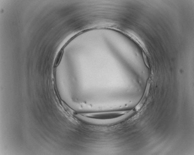 X0000069400948200606021653