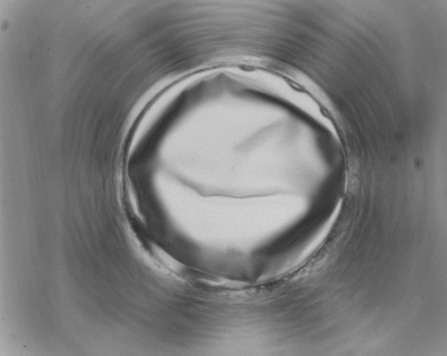 X0000069400955200606021653